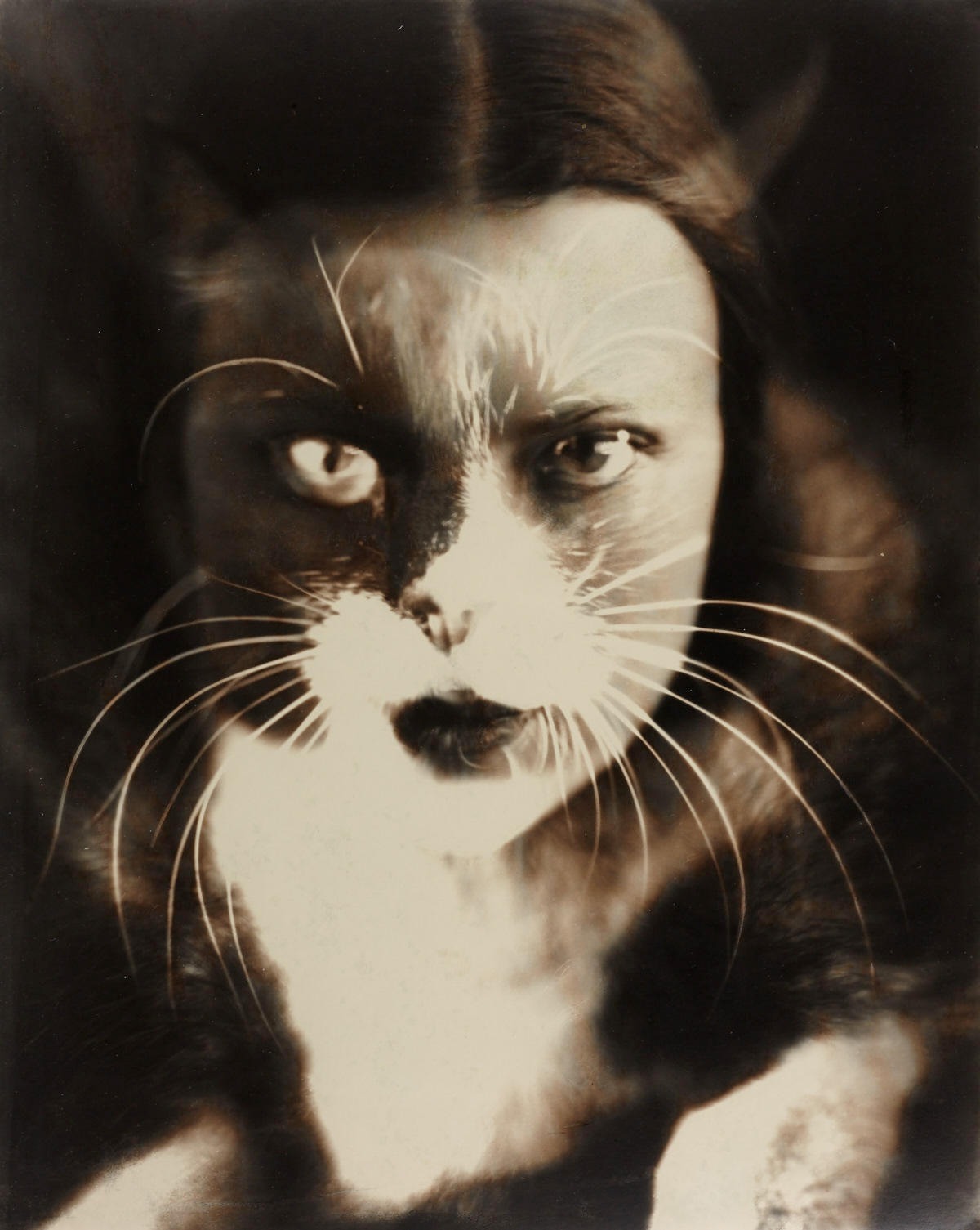 WANDA WULZ ‘Io + Gatto’ (Selbstporträt / Self-portrait), 1932
