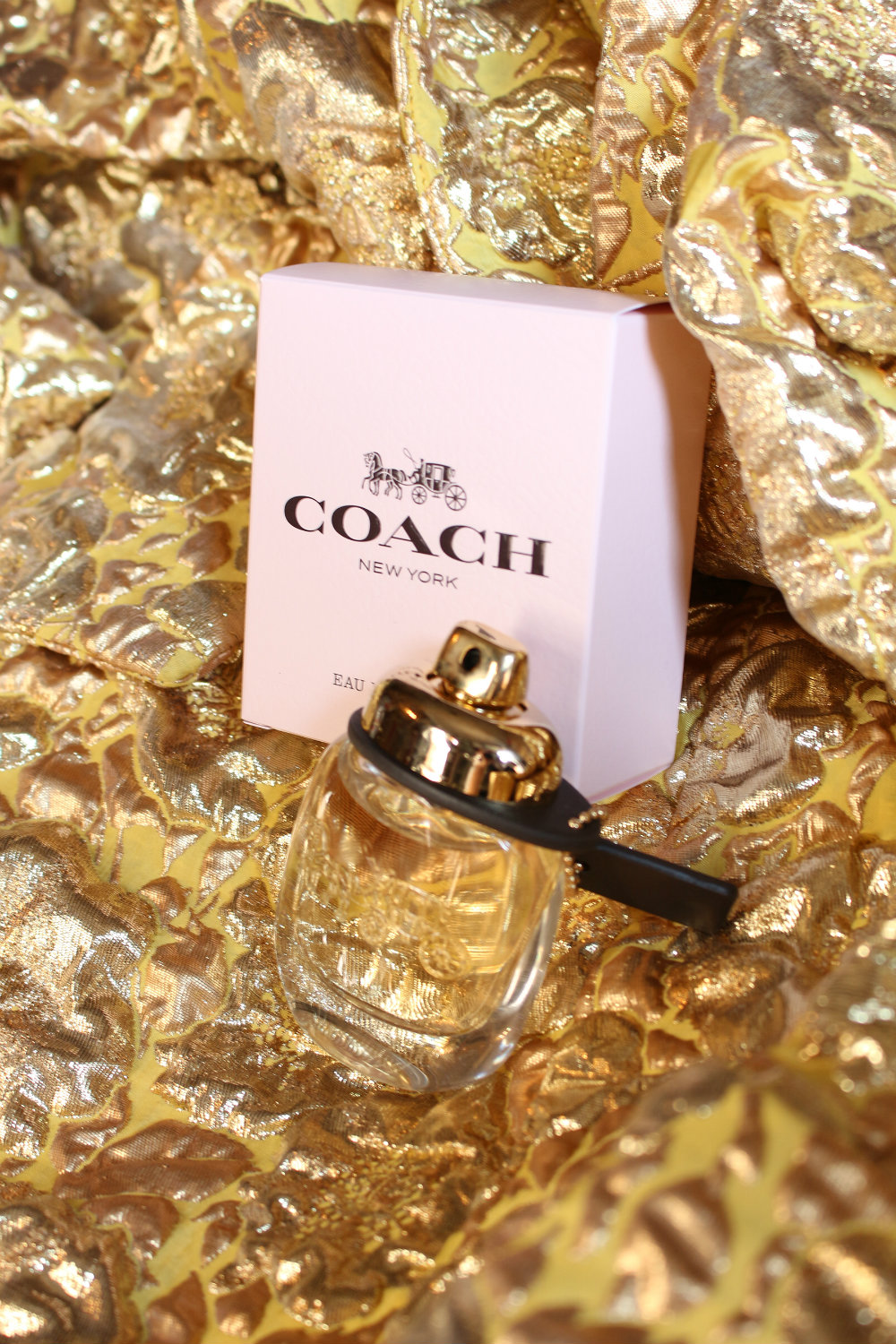 Coach scopri la nuova fragranza 