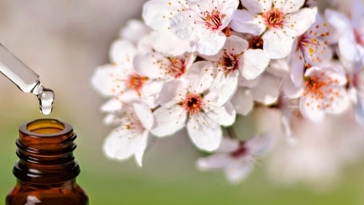 CINQUE FIORI DI BACH DA BERE IN PRIMAVERA