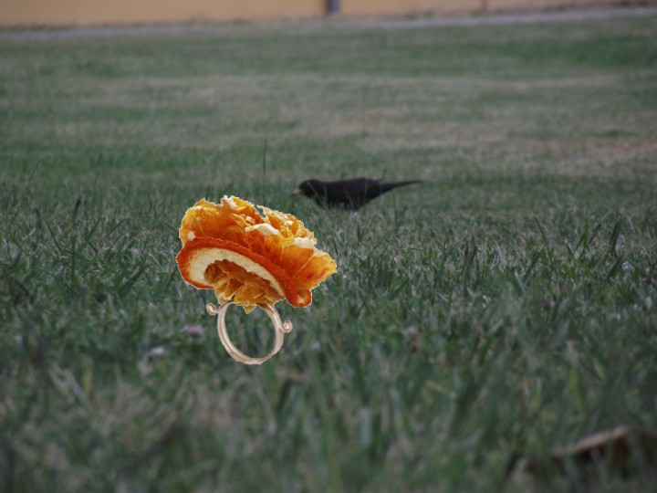 Fruit Jewelry Style