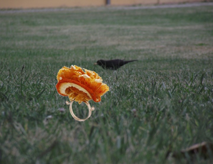 Fruit Jewelry Style