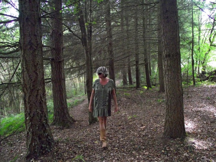 La foresta di mago Merlino