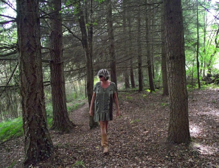 La foresta di mago Merlino