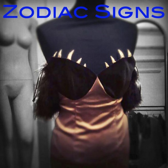 Zodiac Signs by Nevena Mladenović