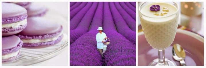 SWEET LAVANDER