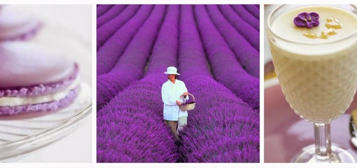 SWEET LAVANDER