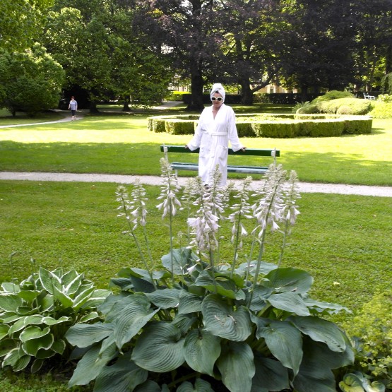 LE TERME DI DOBRNA FRA BELLEZZA E PARCO SECOLARE