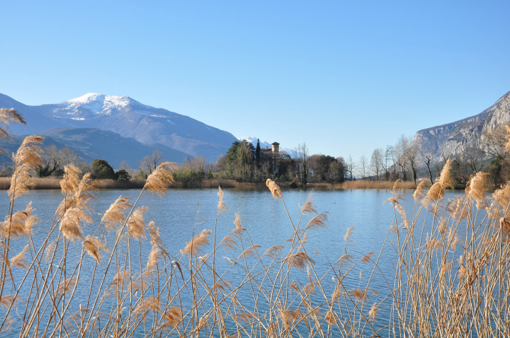 CARTOLINE DAL TRENTINO UN VIAGGIO LUNGO LA STRADA DEL VINO E DEI SAPORI