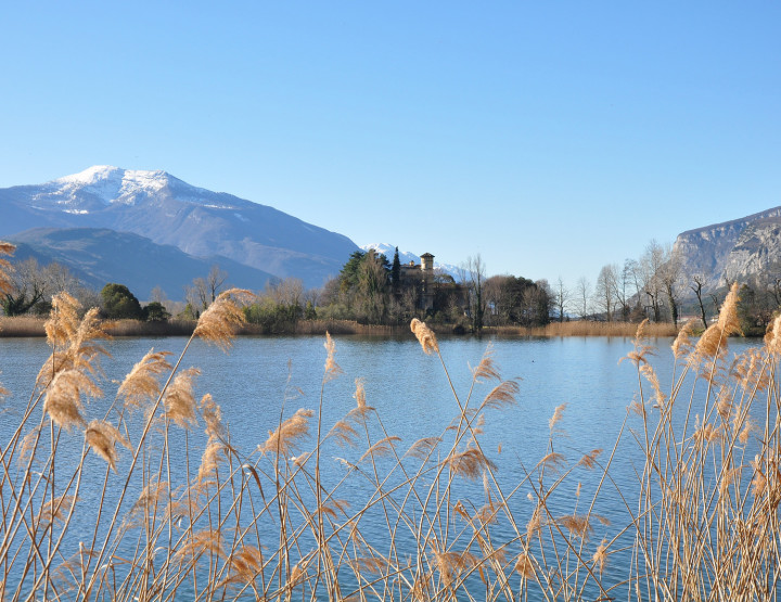 CARTOLINE DAL TRENTINO UN VIAGGIO LUNGO LA STRADA DEL VINO E DEI SAPORI