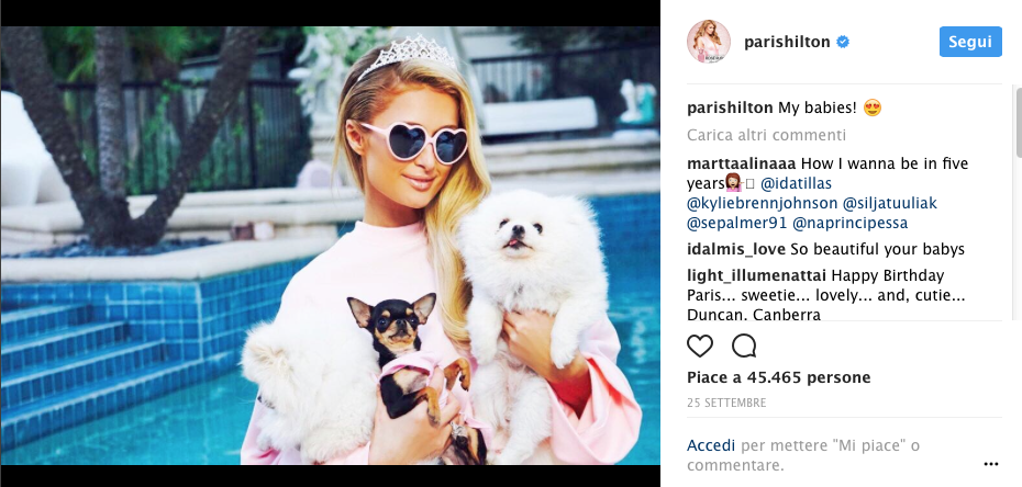 Abiti per cani, Paris Hilton come li veste