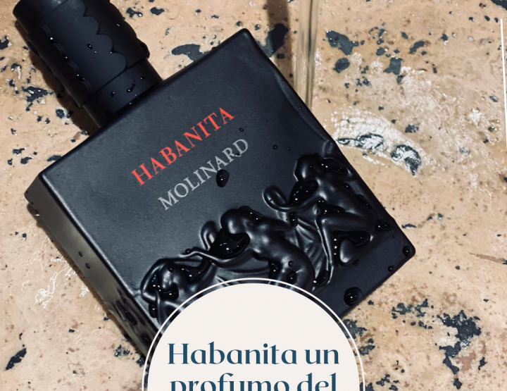 RIVIVERE GLI ANNI VENTI CON HABANITA DI MOLINARD